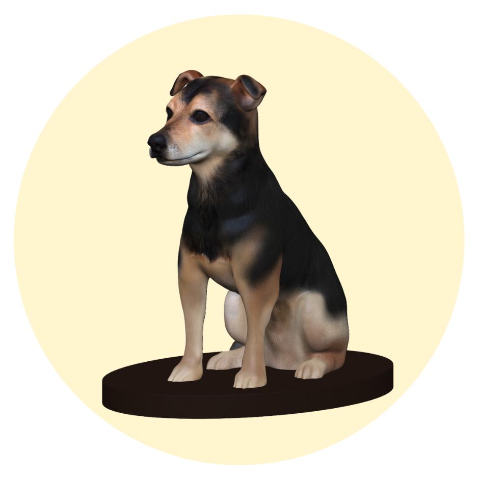 CUSTOM DOG FIGURINES FROM PHOTOS